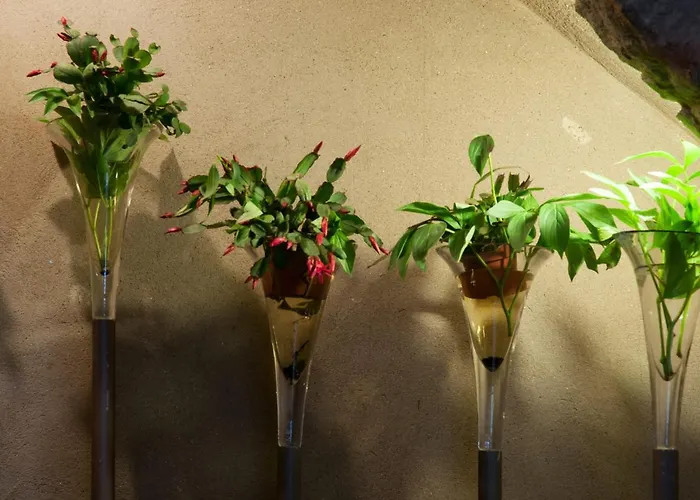 Gasthuis Pensio Bellmirall