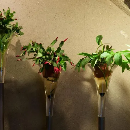 Penzion Pensio Bellmirall